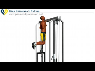 muscles that develop when doing pull-ups.